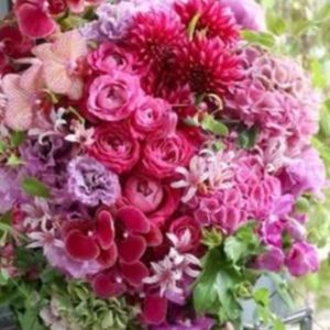 Meet your Posher, Rosa